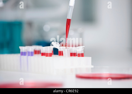 Germany, Bavaria, Munich, Pipette pouring liquid into test tubes for medical research Stock Photo
