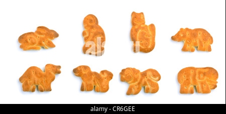 Set of zoo animals cookies isolated on white Stock Photo