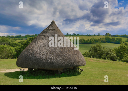 Roundhouses at Castell Henllys Iron Age hillfort , Pembrokeshire Wales UK 120082 Castell Henlys Stock Photo