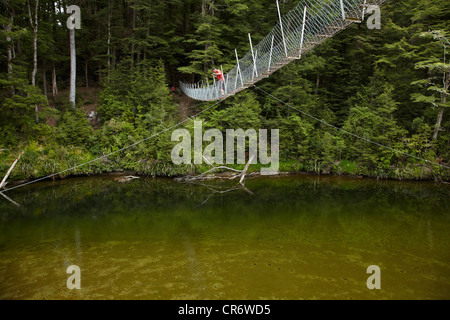 The Piano Forest Stream Deutsch The Piano Forest Stream Deutsch