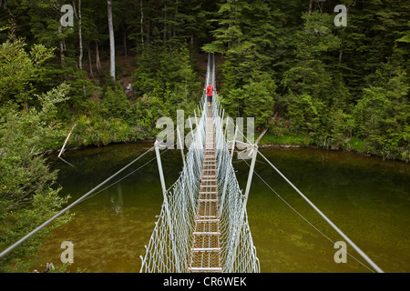 The Piano Forest Stream Deutsch