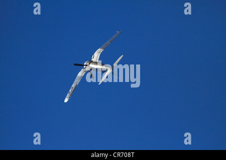 Goodyear Corsair FG-1D 'whispering death' fighter bomber Stock Photo