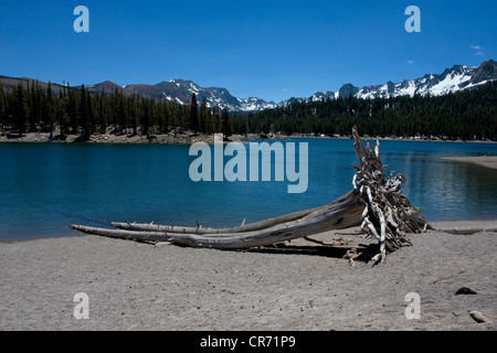 Scenic view of Horseshoe Lake, near Mammoth Lakes, California, USA in June with mountains in distance, taken from the beach Stock Photo