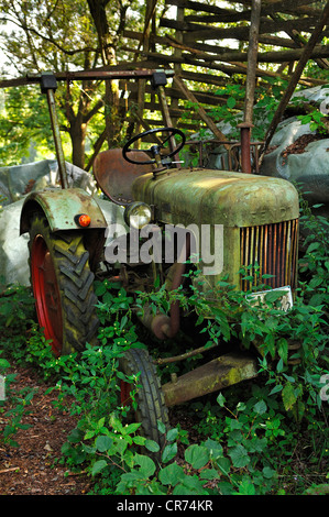 Old overgrown Fendt Dieslross tractor from 1956, Oedenberg, Middle Franconia, Bavaria, Germany, Europe Stock Photo