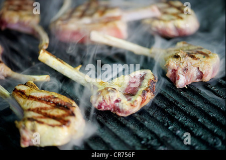 lamb chops cooking on barbecue grill with smoke Stock Photo