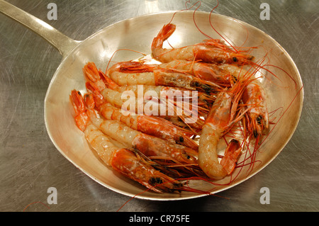 Freshly cooked shrimps (Caridina cf. cantonensis var. Crystal Red) in a stainless steel pan Stock Photo