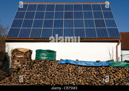 Photovoltaic system on the tool shed of a farm, with firewood stacked in the front, Kalchreuth, Middle Franconia, Bavaria Stock Photo