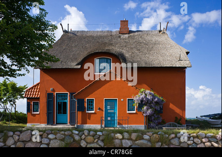 House in the nature reserve and peninsula Graswarder, Heiligenhafen, Schleswig-Holstein, Germany, Europe Stock Photo