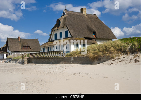 House in the nature reserve and peninsula Graswarder, Heiligenhafen, Schleswig-Holstein, Germany, Europe Stock Photo