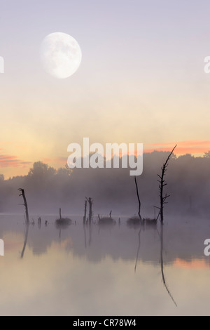 Moon above the Schwenninger Moos nature reserve, composite photograph, source of the Neckar River, Villingen-Schwenningen Stock Photo