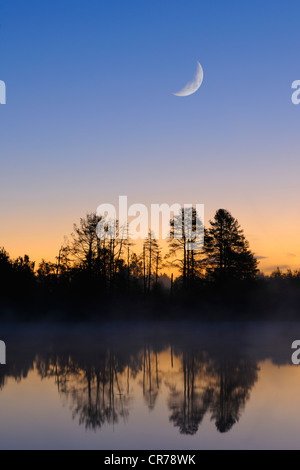 Moon above the Schwenninger Moos nature reserve, composite photograph, source of the Neckar River, Villingen-Schwenningen Stock Photo