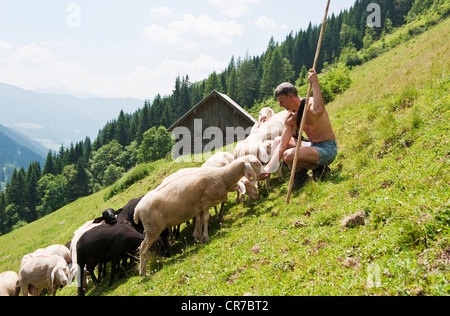 Austria, Salzburg County, Shepherd herding sheep on mountain Stock Photo