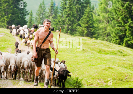 Austria, Salzburg County, Shepherd herding sheep on mountain Stock Photo