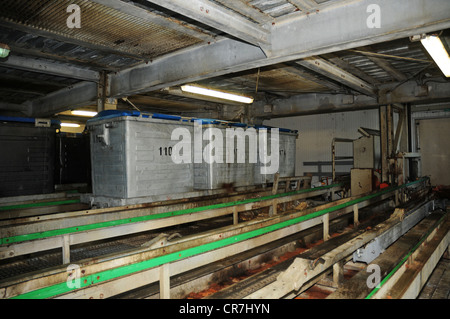 Metal garbage containers and dumpsters at an incinerator in a thermal treatment facility. Stock Photo