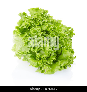 Salad, lettuce head Stock Photo