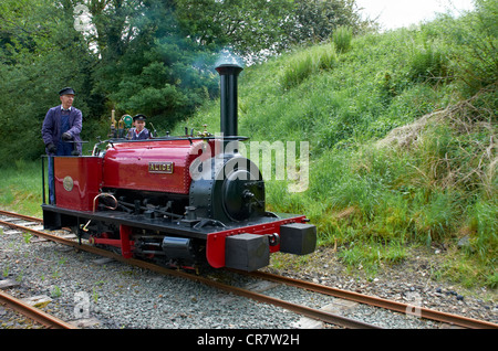 Bala Lake Railway engine running round its train. Loco Alice is an original Quarry Hunslet. Stock Photo