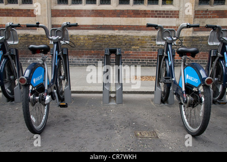 TFL Transport for London cycles and racks Chelsea Stock Photo