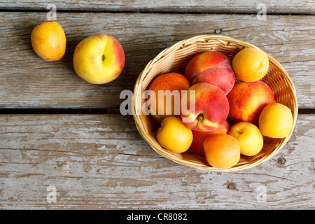 Juicy peaches and apricots in basket Stock Photo