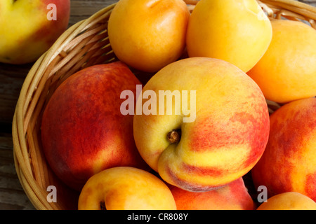 Pile of Peaches in a Basket Stock Photo