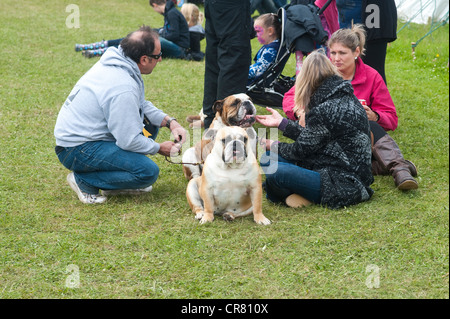 Cornwall, England, UK - A family sitting on grass with two adult British bulldog Stock Photo