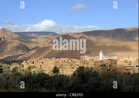 Tinghir, an oasis town along the Road of the Kasbahs, southern Morocco, Morocco, Maghreb, North Africa, Africa Stock Photo