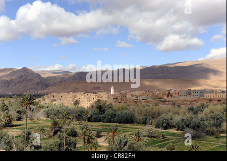 Tinghir, an oasis town along the Road of the Kasbahs, southern Morocco, Morocco, Maghreb, North Africa, Africa Stock Photo