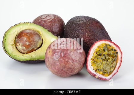 Avocado (Persea americana Mill. or Persea gratissima) and Passionfruit (Passiflora edulis) Stock Photo