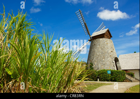 France, Martinique (French West Indies), Sainte Luce, Trois Rivieres Rum factory Stock Photo