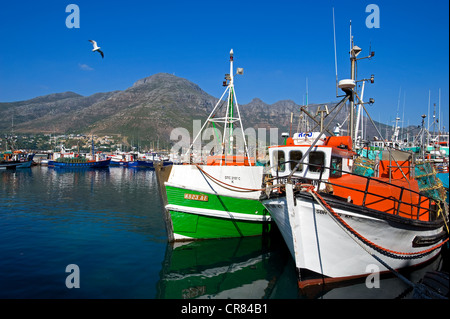 South Africa, Western Cape, Cape peninsula, Hout Bay, fishing harbour Stock Photo