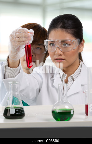 Two scientists analyzing solution. Stock Photo