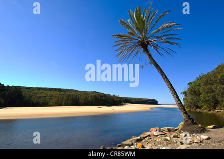 Wattamolla, Royal National Park, Sydney, New South Wales, NSW, Australia Stock Photo