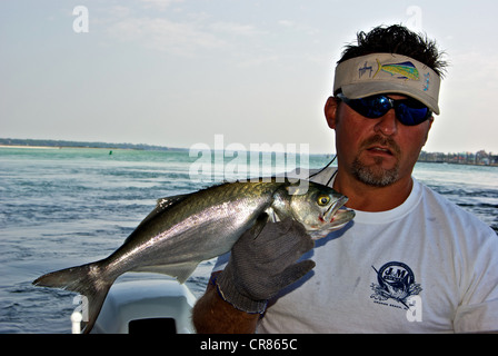 Angler holding bluefish inshore saltwater game fish Perdido Pass under Alabama Point Bridge Stock Photo