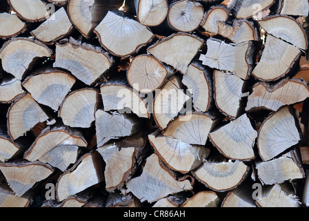 close up of stacked, chopped wood. Stock Photo