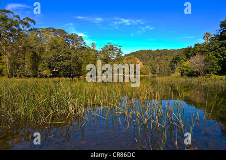 Audley Weir, Royal National Park, Sydney, New South Wales, Australia Stock Photo