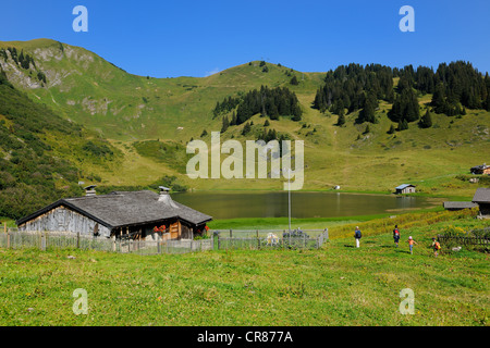 Switzerland, Canton of Vaud, Villars sur Ollon, hamlet of Bretaye Stock Photo