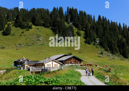 Switzerland, Canton of Vaud, Villars sur Ollon, hamlet of Bretaye, hikkers Stock Photo