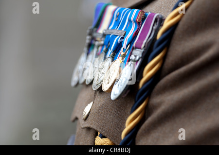 Soldier wearing medals Stock Photo
