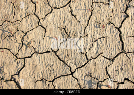 Parched soil surface, Saintes-Marie-de-la-Mer, Bouches du Rhone, Camargue, France, Europe Stock Photo