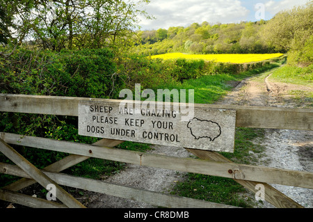 Warning sign on farm gate to keep dogs under control