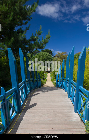 Blue wooden footbridge, Tresco Abbey Garden, Tresco Island, Isles of Scilly Stock Photo