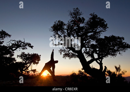Man stretching at sunrise in Death Valley National Park, California, USA Stock Photo