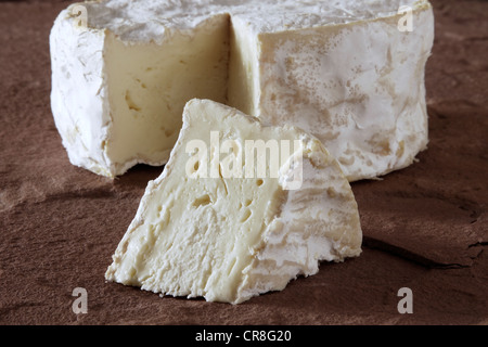 French soft cheese on sandstone Stock Photo