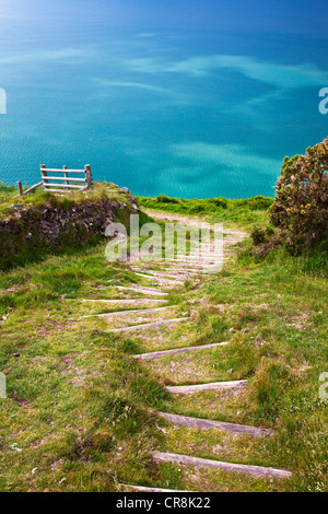 Wooden steps cut into a steep section of the South-West Coast Path near Lynton and Lynmouth, north Devon, England, UK Stock Photo