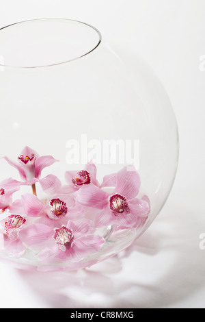 Pink flowers in glass bowl Stock Photo