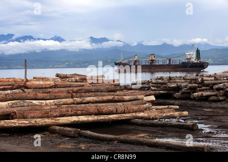 Tree trunks for loading in the logport of Logpont Timbers Rimbunan Hijau (PNG) Limitid in Garim, Madang, Papua Neuguinea Stock Photo