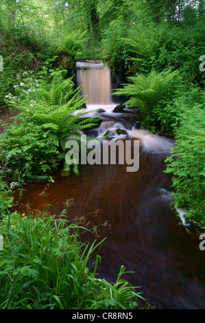 UK,South Yorkshire,Sheffield,Rivelin Valley,Upper Coppice Wheel Stock Photo