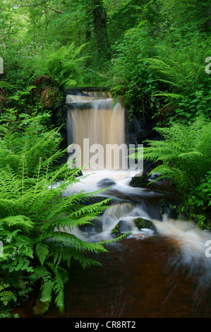 UK,South Yorkshire,Sheffield,Rivelin Valley,Upper Coppice Wheel Stock Photo