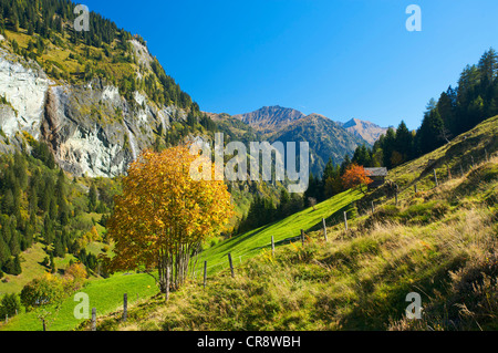 View of Huettschlag in Grossarltal Valley, Pongau, Salzburger Land, Austria, Europe Stock Photo