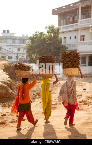 Dry cow dung, India Stock Photo - Alamy