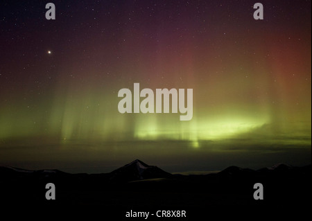 Green and rare red polar lights, aurora borealis, Spitsbergen, Svalbard, Norway, Scandinavia, Europe Stock Photo